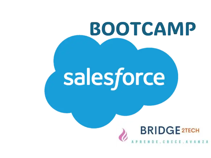 Salesforce Bootcamp